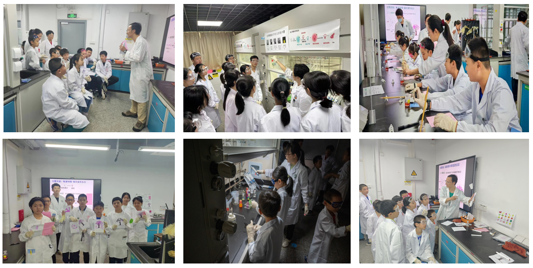 image-20240720133349-3