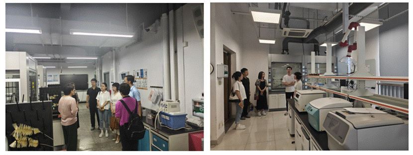 image-20250615163637-1